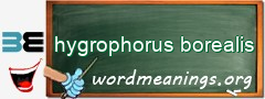 WordMeaning blackboard for hygrophorus borealis